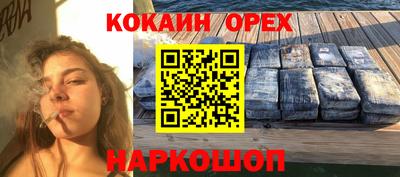 гидропоника Будённовск