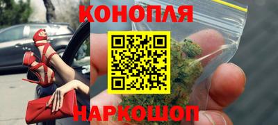 гидропоника Будённовск