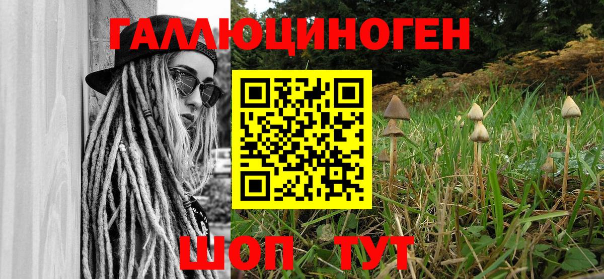 Галлюциногенные грибы мухоморы Советск